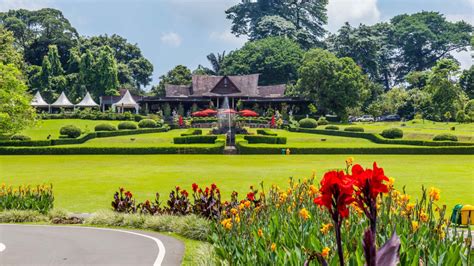  ホロ・アット・ボゴール植物園で緑に囲まれた癒やしの時間を！